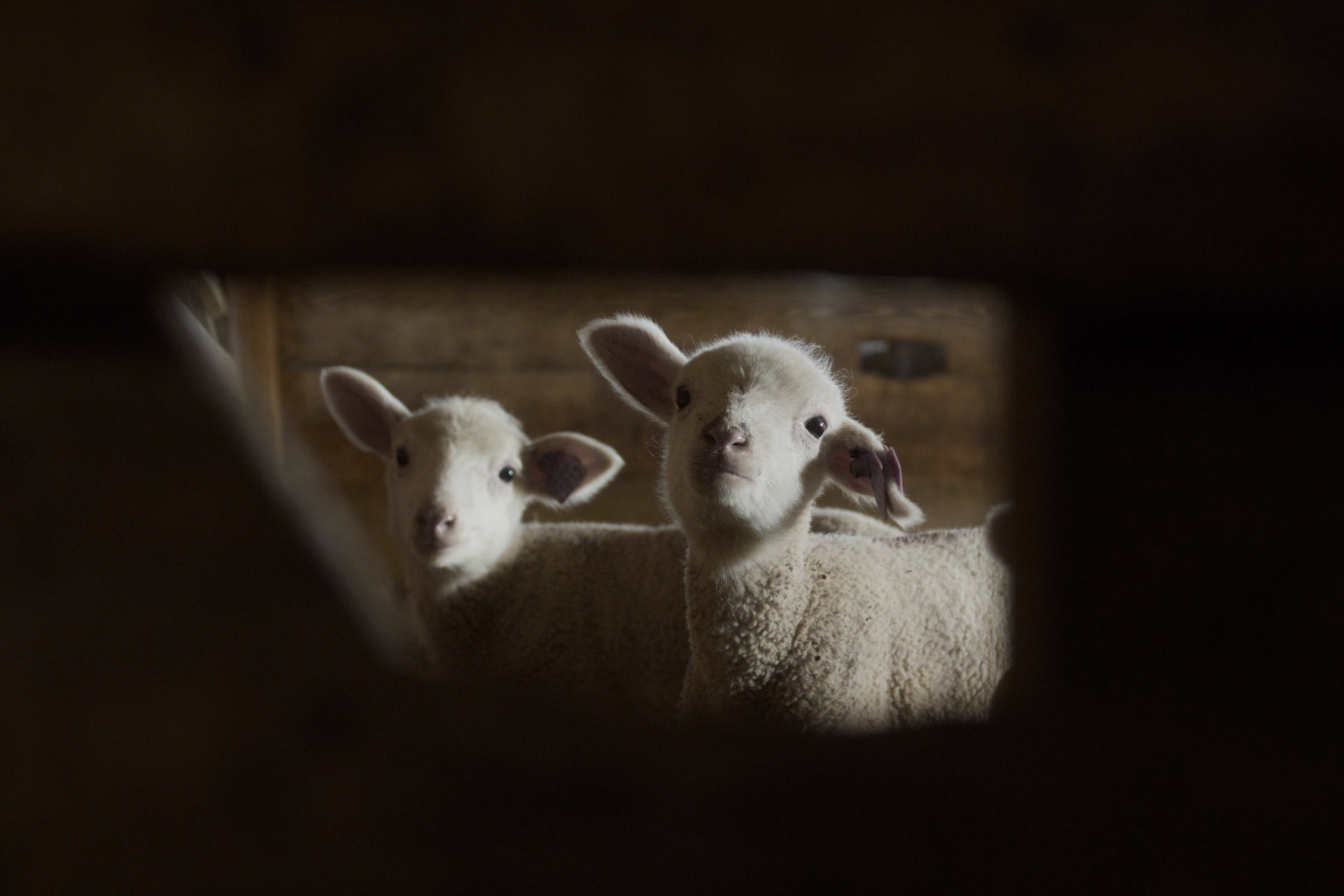 AlterEgoShoots AlterEgo Alter Ego Creates