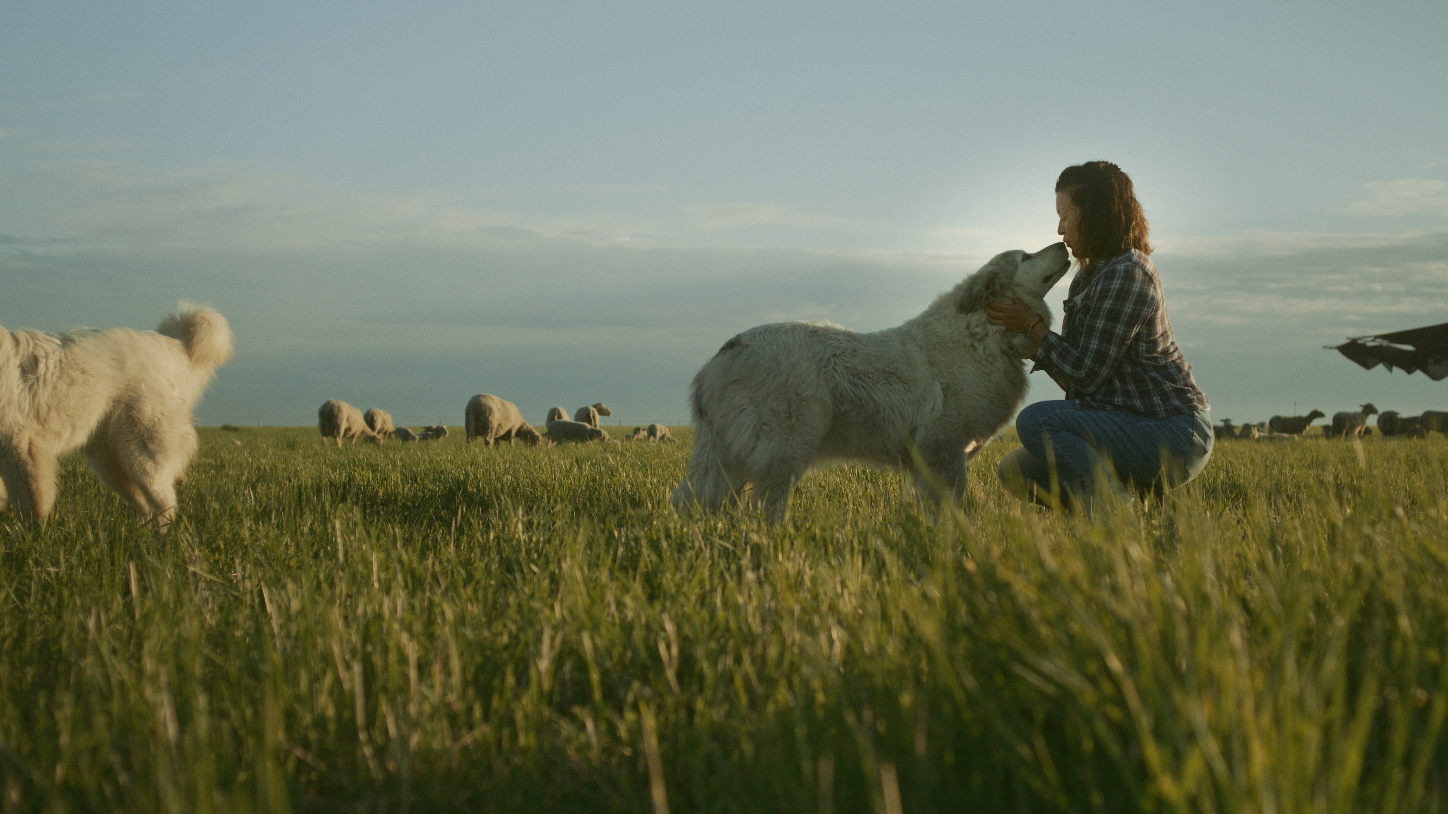 AlterEgoShoots AlterEgo Alter Ego Shoots