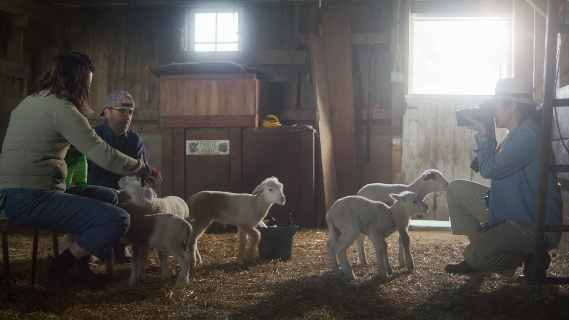 Wendy Johnson, Joia Food & Fiber Farm, AlterEgo Shoots