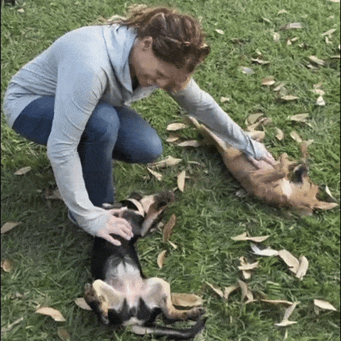 AlterEgo AlterEgoShoots Alter Ego Creates heather roymans puppies