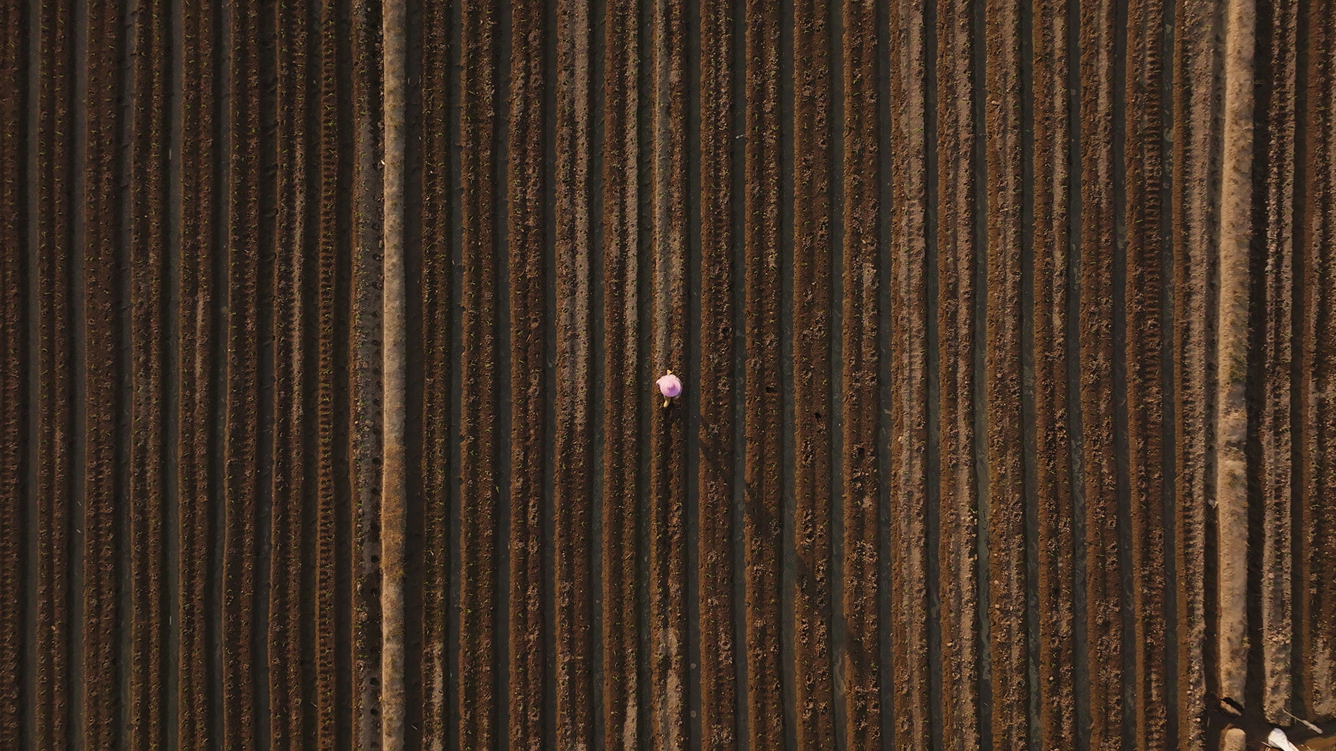 AlterEgo AlterEgoShoots Alter Ego Creates