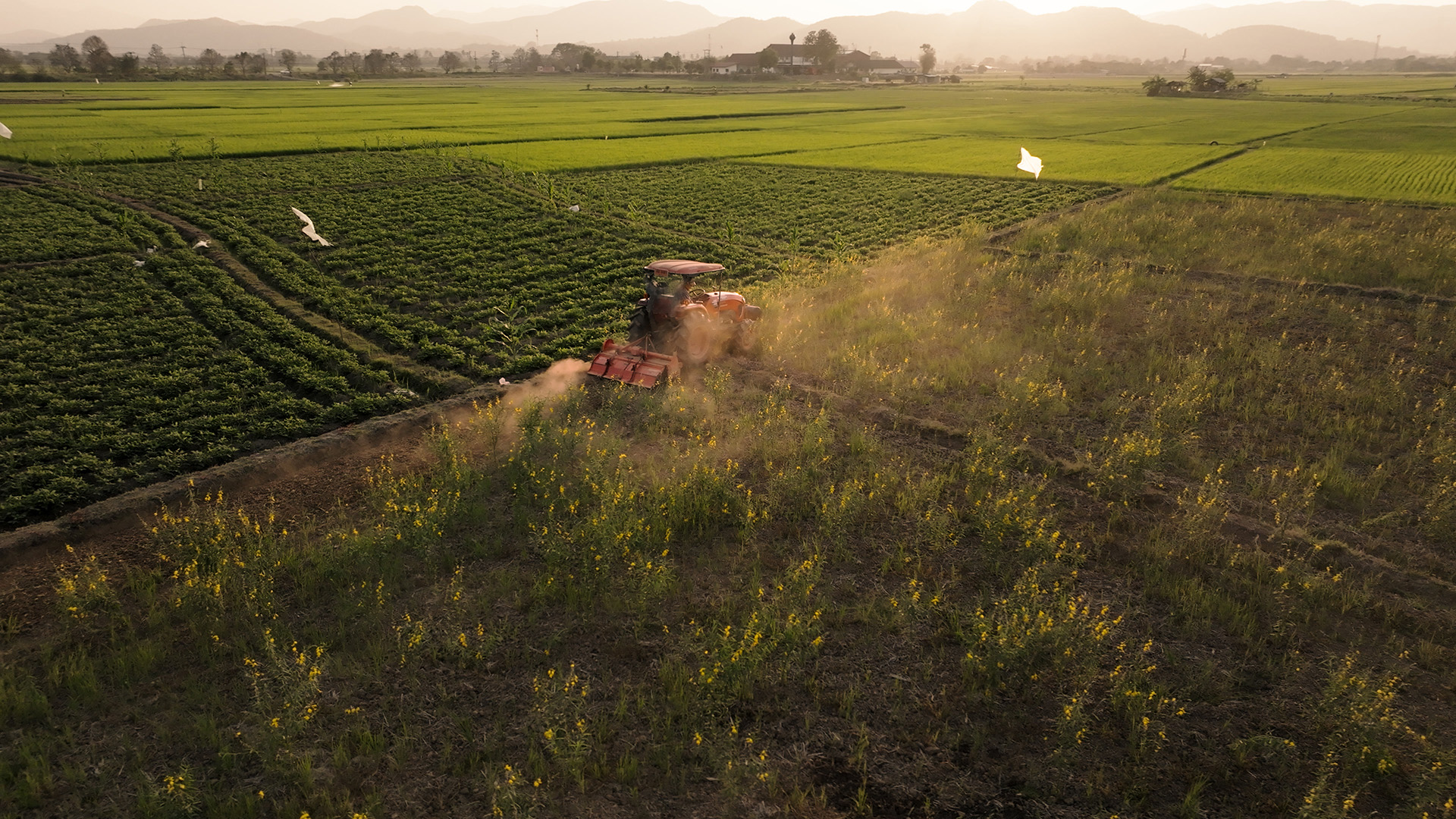 AlterEgo AlterEgoShoots Alter Ego Creates