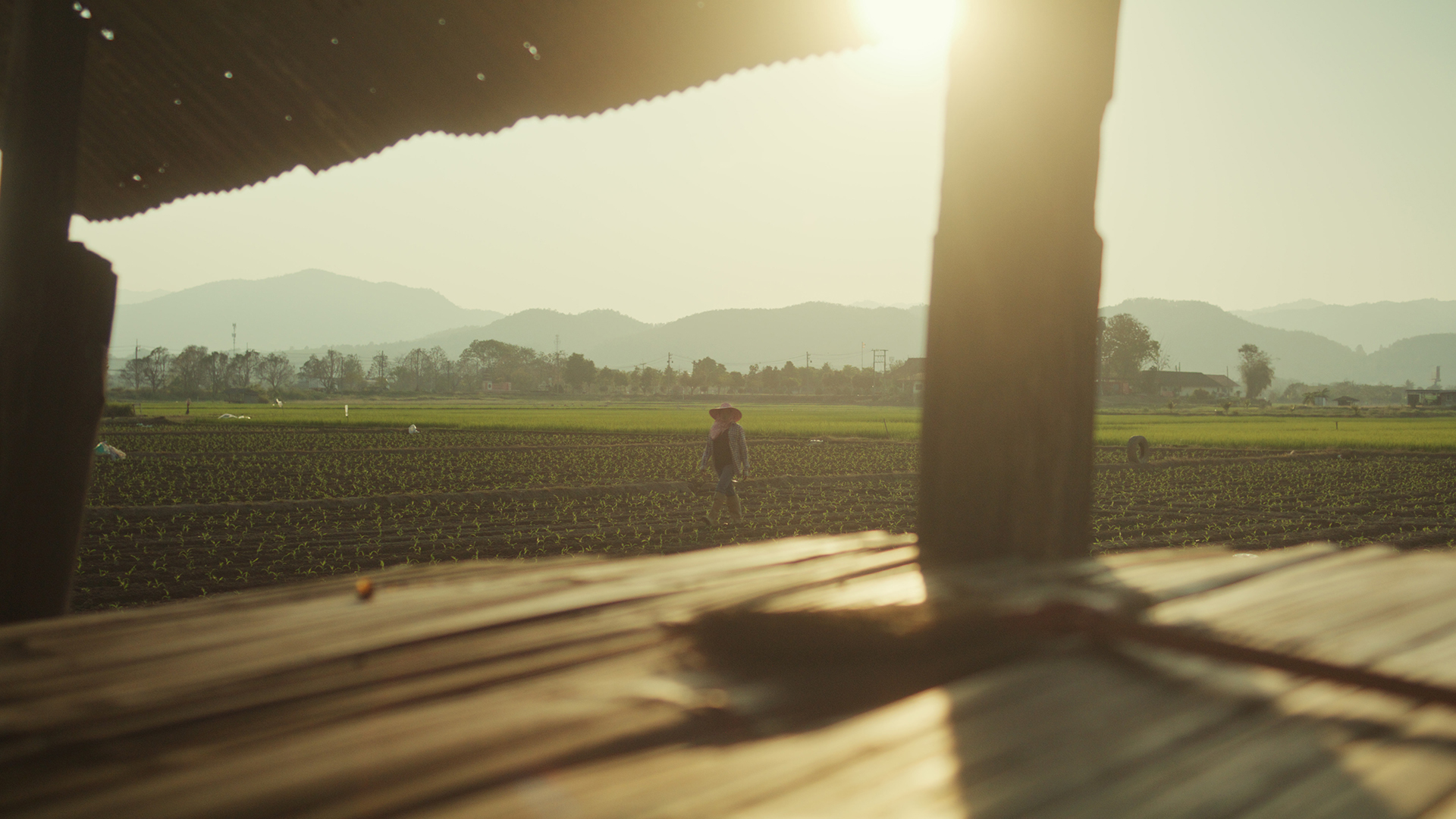 AlterEgo AlterEgoShoots Alter Ego Creates